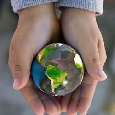 Celebrating our Sustainable success