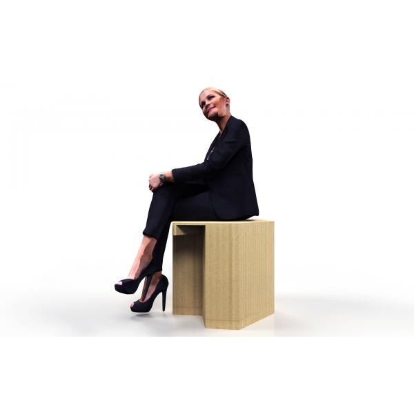 Anti Bacterial Germ Free stools